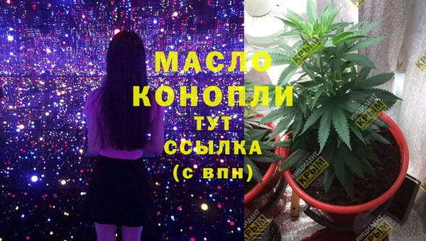 индика Михайлов