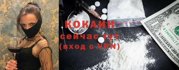 тгк Алексин