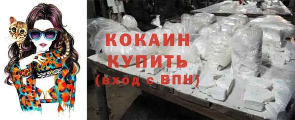 индика Михайлов