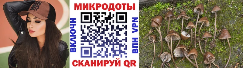 магазин  наркотиков  Юрьев-Польский  Галлюциногенные грибы прущие грибы 